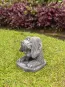 morepic-11